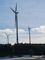 Wildenberg (15)